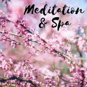 Meditation & Spa: Sound Therapy, Aromatherapy, Wellness, Stress Relief, Well Being & Serenity