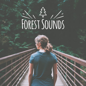 Forest Sounds – Natural Noise for Relaxation, Sounds of Birds, Calm Afternoon