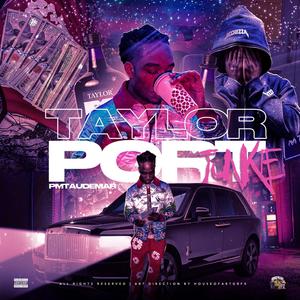 Taylor Port Junkie (Audemix|Explicit)