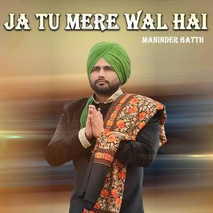 Ja Tu Mere Wal Hai