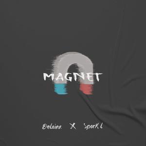 Magnet