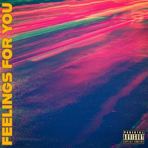 Feelings For You (Explicit)