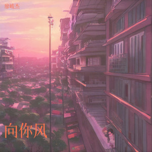 向你风