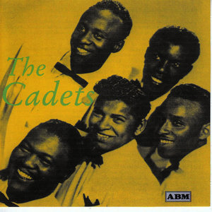 Stranded In The Jungle