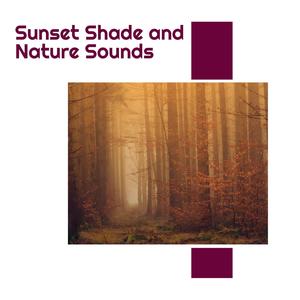 Sunset Shade and Nature Sounds