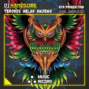 DJ HANDSOME (DJ Handsome Terobos Aelah)