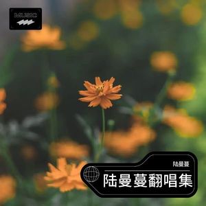 爱上你等于爱上寂寞