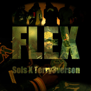 Flex (Explicit)