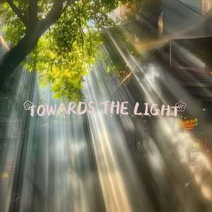 Tow Ards The Light (纯音乐)