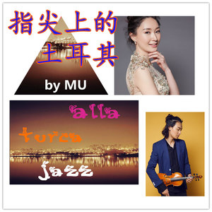 指尖上的土耳其