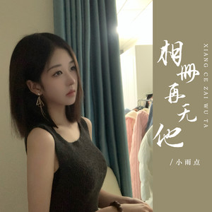 相册再无他 (DJ彭锐版)封面