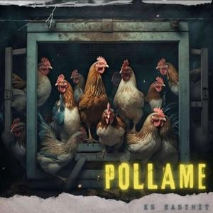 Pollame (feat.Ks) [Explicit]