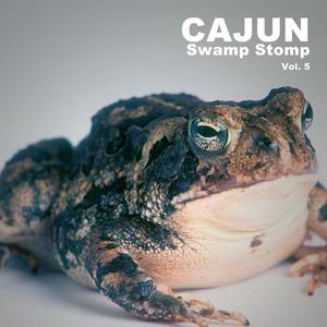 Cajun Swamp Stomp, Vol. 5