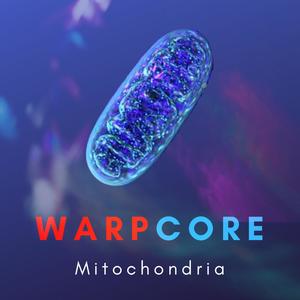 Mitochondria