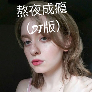 爱冬野的少年 (Remix)封面