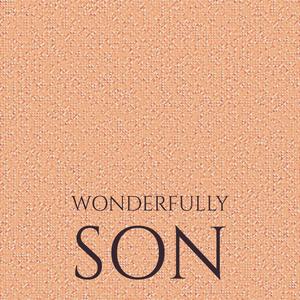 Wonderfully Son