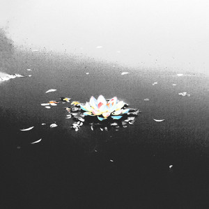 Zeu$ - She Think She Fly