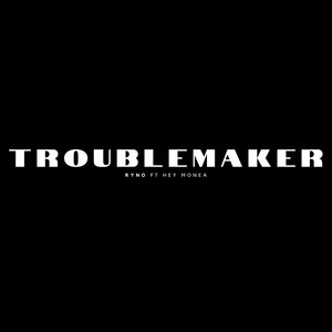 Troublemaker