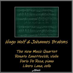Hugo Wolf & Johannes Brahms - Piano Trio NO.3 in C Minor, Op.101: III. Andante grazioso
