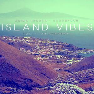 Island Vibes (feat. TGX) (Explicit)