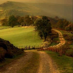 TAG (feat. prodbypharaohh) (Explicit)