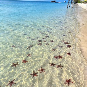 寻绝雪 - 不被祝福的幸福