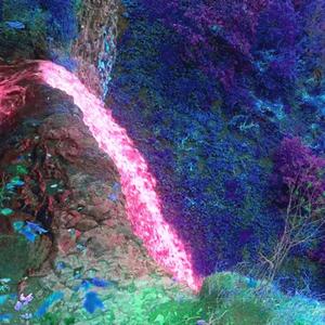 Swang (Addy Yuhh Version)