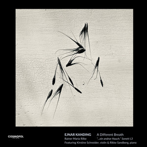 A BREATH IN THE VOID - IV. A Breath in the Void