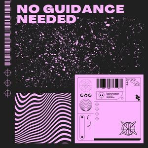 No Guidance Needed