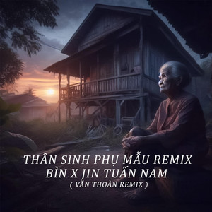 Thân Sinh Phụ Mẫu (Remix)