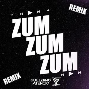 Zum Zum Zum (feat. DJ Guillermo Atencio|Remix 2025)