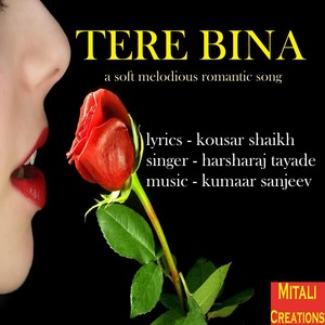 Tere Bina