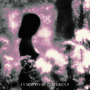 I Used to Be Different (Explicit)