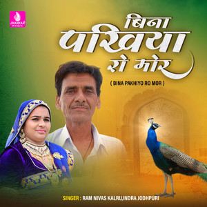 Bina Pakhiyo Ro Mor - Single