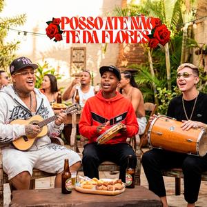 POSSO ATÉ NÃO TE DAR FLORES (PAGODE)