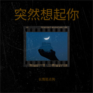 突然想起你（一个人的夜我的心应该放在哪里）