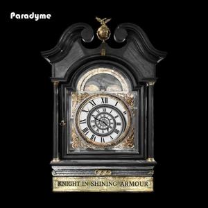 Knight In Shining Armour