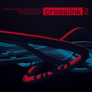 Crosslink 2