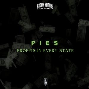 PIES (Profits in Every State) (Explicit)