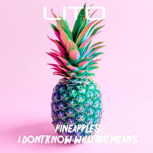 Pineapples I Don't Know What That Means (Radio Edit) [Explicit]