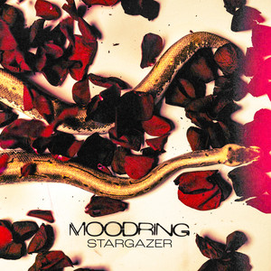 Stargazer (Explicit)