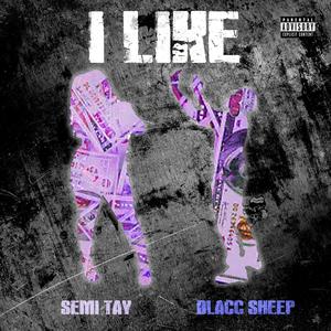 I LIKE (feat. Semi Tay) [Explicit]