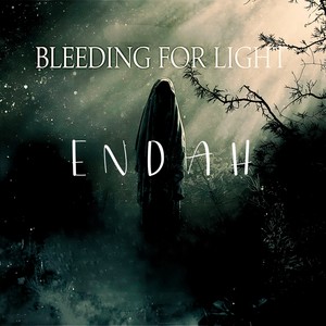 Bleeding For Light