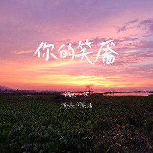你的笑靥 (广场舞版)