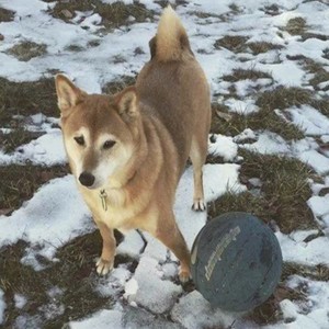 突然想起你（祝我康生日快乐）