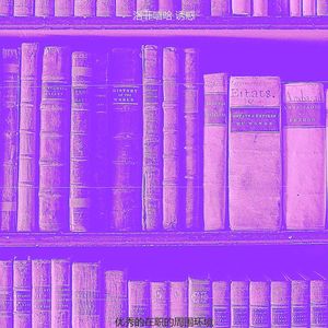 优秀的在职的周围环境