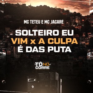 Solteiro Eu Vim X a Culpa É das Puta (Explicit)