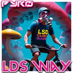 LDS Way (Original Mix)