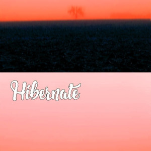 Hibernate