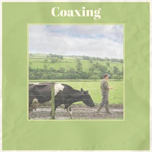 Coaxing